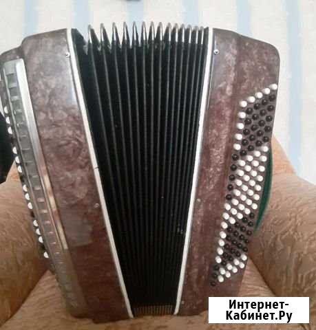 Баян Урал Нижний Тагил - изображение 1