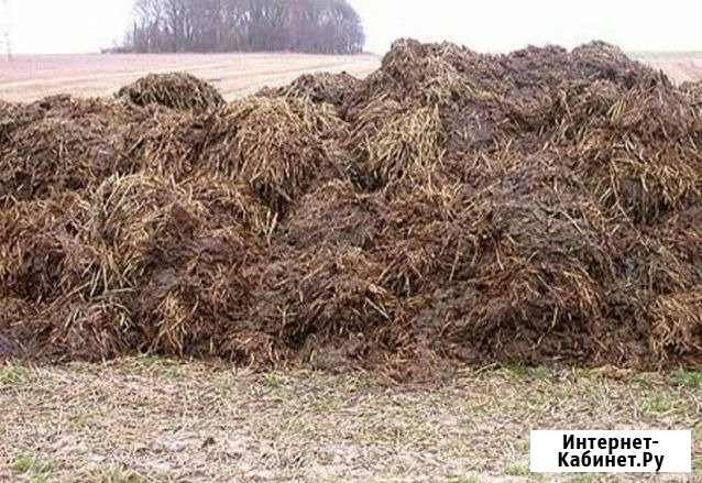 Навоз с доставкой Новосибирск - изображение 1