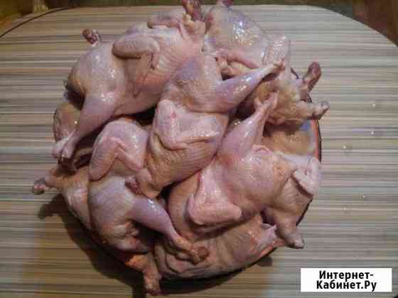 Мясо перепелов Краснодар