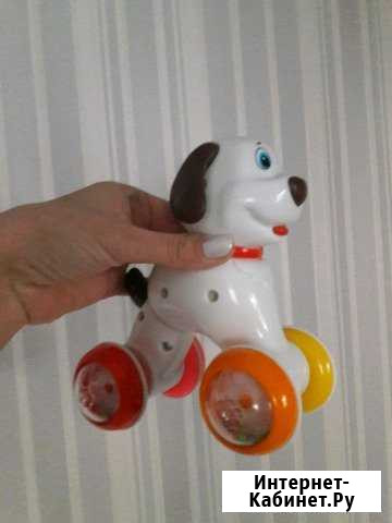 Игрушка. Собачка Челябинск - изображение 1