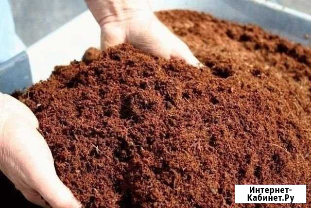 Перегной коровий. Доставка Куровское - изображение 1