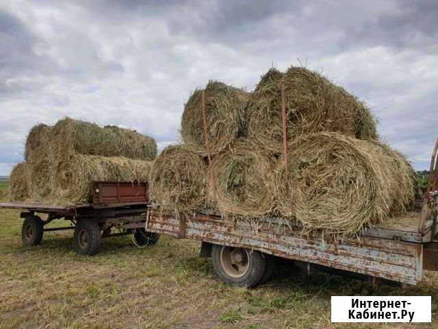Сено в рулонах Моргауши - изображение 1