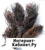 Красная щетка Краснодар - изображение 1