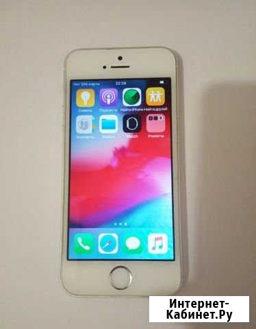iPhone 5s Знаменск - изображение 1