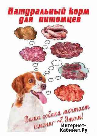 Мясо собакам Анапа