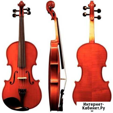 Скрипка gewa Liuteria Allegro 1/8 Санкт-Петербург - изображение 1