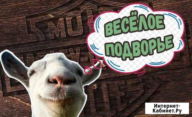 Козел на покрытие Железногорск - изображение 1