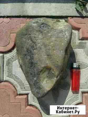 Окаменелость Нижний Новгород