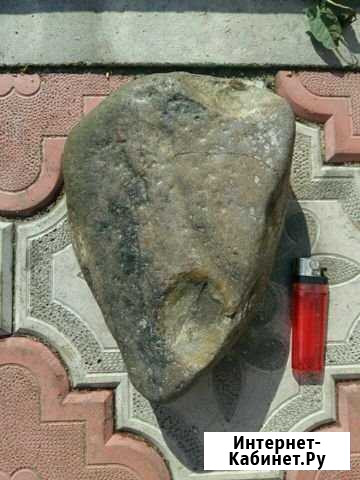 Окаменелость Нижний Новгород - изображение 1