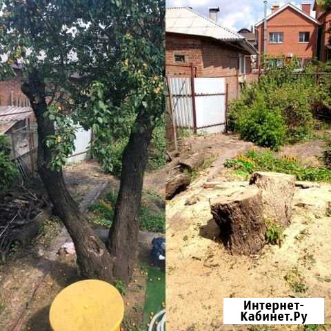 Спил деревьев, расчистка участков Ростов-на-Дону - изображение 1