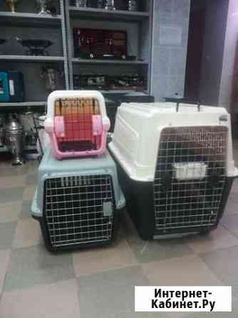 Переноска Краснодар