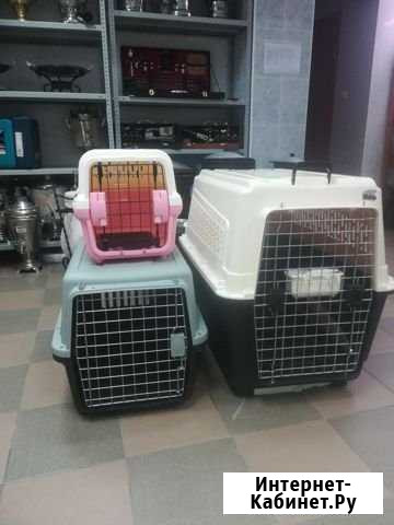 Переноска Краснодар - изображение 1