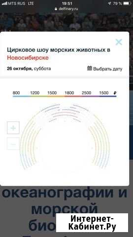 Билеты в дельфинарий Новосибирск - изображение 1