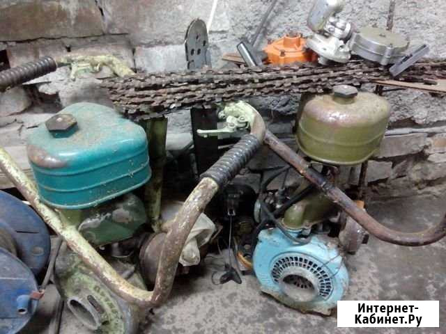 Пила Дружба Псков - изображение 1