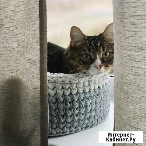 Лежанка для кота или маленькой собаки Муром - изображение 1