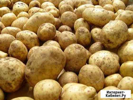 Продам картофель Миасс