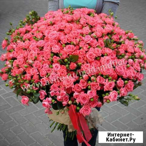 101 роза кустовая Нежно-коралловая Букет цветов Краснодар - изображение 1