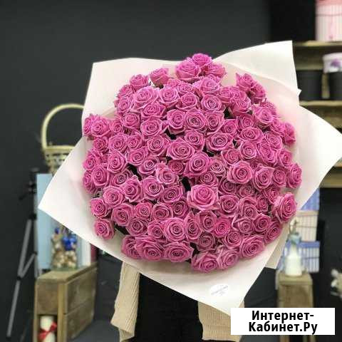 101 роза Краснодар - изображение 1