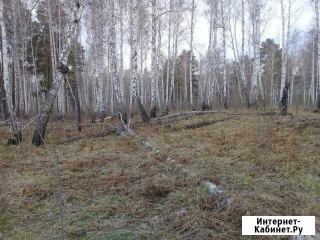 Участок 15 сот. (ИЖС) Шелехов - изображение 1