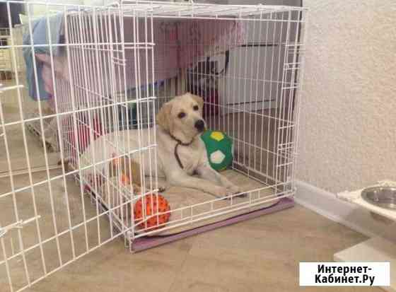 Вольеры и Клетки квартирные Краснодар
