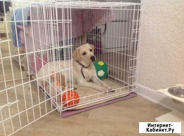 Вольеры и Клетки квартирные Краснодар - изображение 1