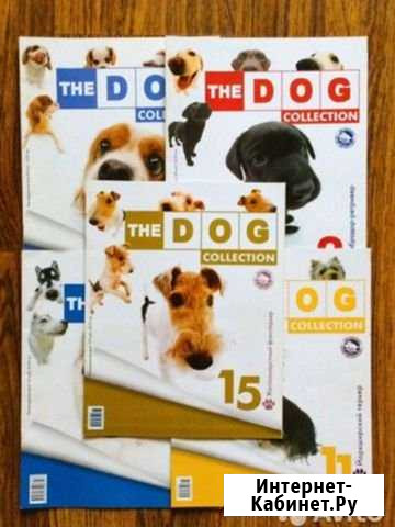 The dog collection Череповец - изображение 1