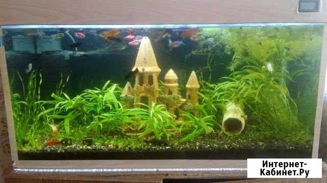 Продам аквариум Нижнекамск - изображение 1