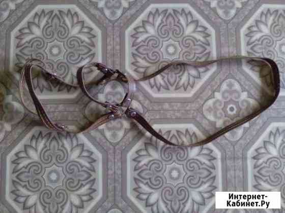 Товары для животных Красноярск