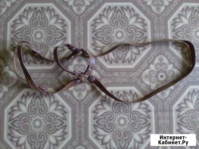 Товары для животных Красноярск - изображение 1