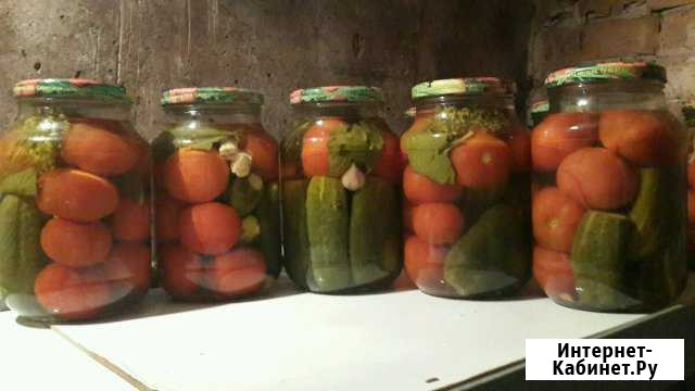 Огурцы и Помидоры Абакан - изображение 1