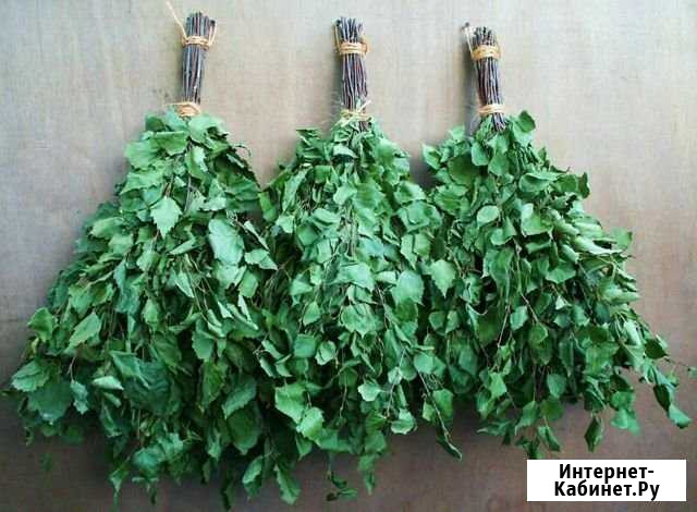 Березовые ветки Заречный - изображение 1