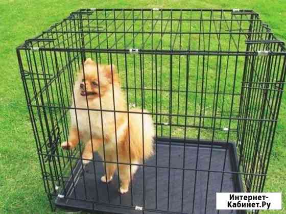 Клетка для собак (Новые) Тюмень