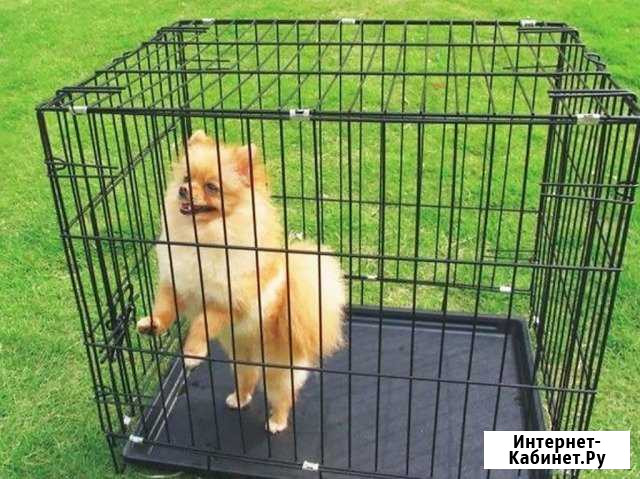 Клетка для собак (Новые) Тюмень - изображение 1