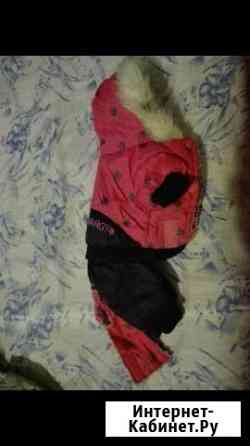 Костюм для собачки Нижний Новгород