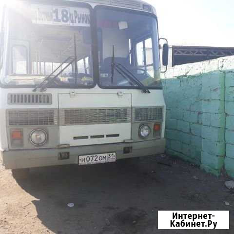 Паз 3205 Белгород - изображение 1
