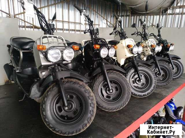 Скутер Honda Zoomer 50 без пробега по РФ Москва - изображение 1