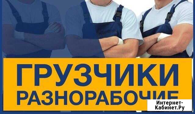 Грузчики разнорабочие Вологда - изображение 1