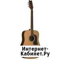 Продаю акустическую гитару Washburn WD 10S NS Архангельск - изображение 1