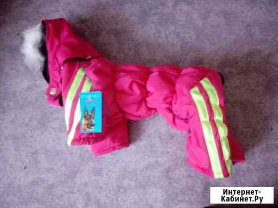 Одежда и обувь для собак производитель Калуга