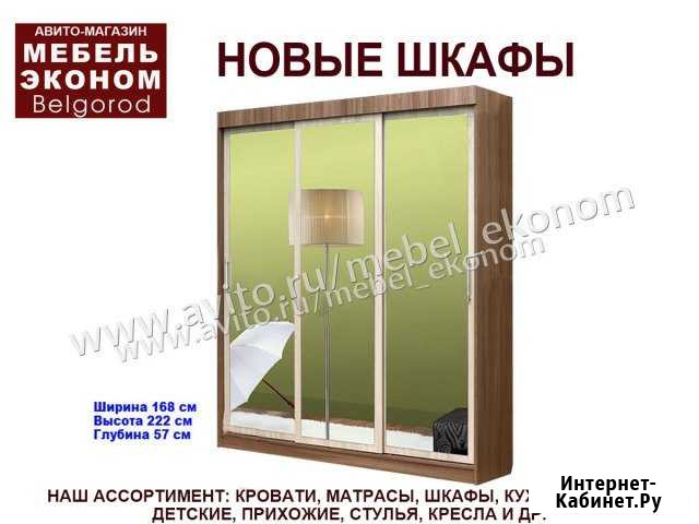 Шкаф-купе Белгород - изображение 1