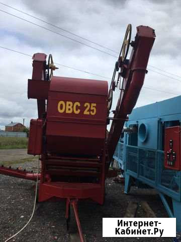 Овс 25,см-4 Хохол - изображение 1
