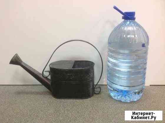 Лейка Сыктывкар