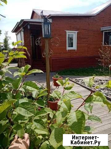 Дом 102 кв.м. на участке 19 сот. Магдагачи - изображение 1