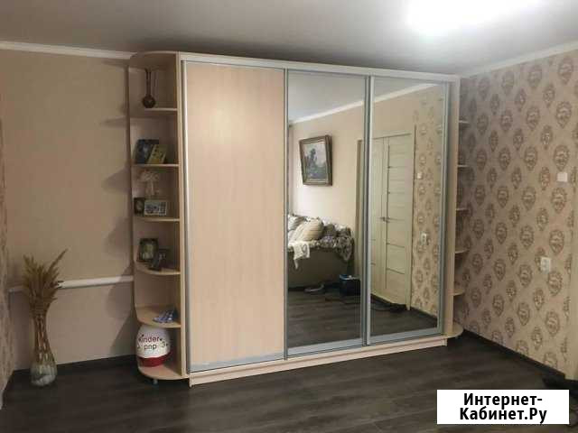 Шкаф-купе с зеркалом Казань - изображение 1