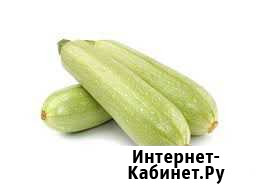Продам кабачки Смоленка - изображение 1