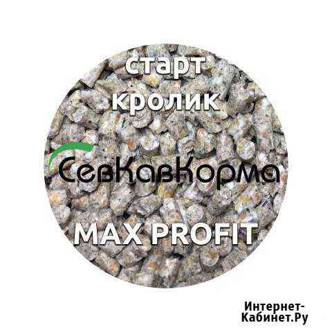 MAX profit для кроликов старт, рост Курсавка