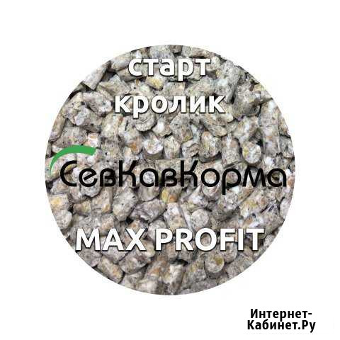MAX profit для кроликов старт, рост Курсавка - изображение 1