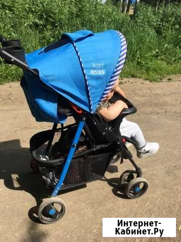 Коляска Петропавловск-Камчатский - изображение 1
