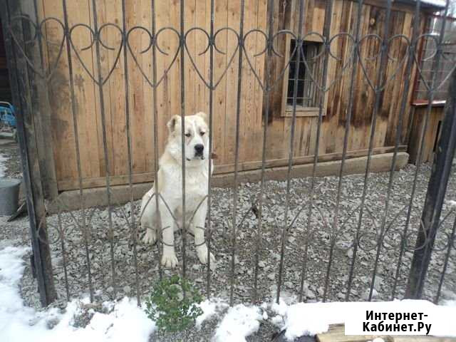 Вязка Верхняя Пышма - изображение 1