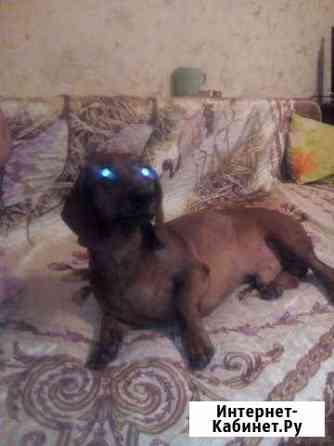 Мальчик ищет девочку Екатеринбург